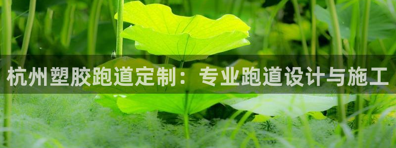 红足一1世官网比分：杭州塑胶跑道定制：专业跑道设计与施工