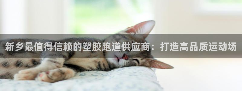 44814红足：新乡最值得信赖的塑胶跑道供应商：打造高品质运动场