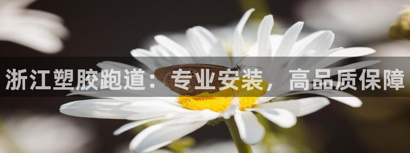 红足1世足球比分：浙江塑胶跑道：专业安装，高品质保障