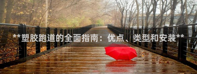 红足1世1站2站管理网：**塑胶跑道的全面指南：优点、类型和安装**