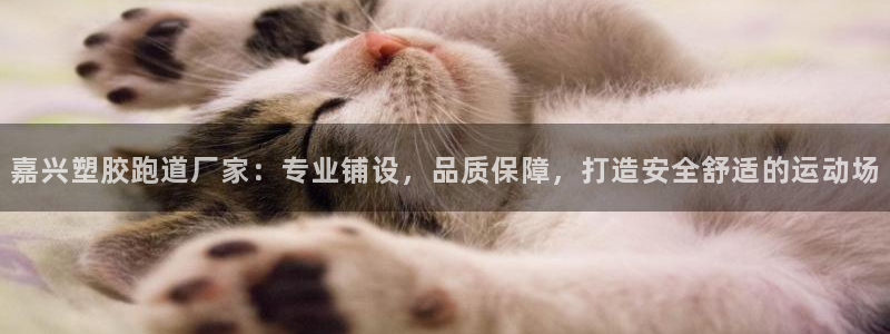 红足一球：嘉兴塑胶跑道厂家：专业铺设，品质保障，打造安全舒适的运动场