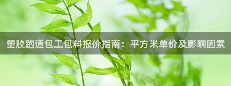 777814红·足一世比分篮球：塑胶跑道包工包料报价指南：平方米单价及影响因素
