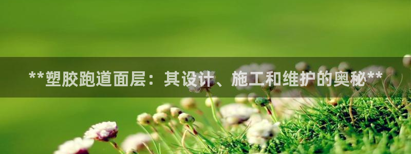 红足一1世比分网：**塑胶跑道面层：其设计、施工和维护的奥秘**