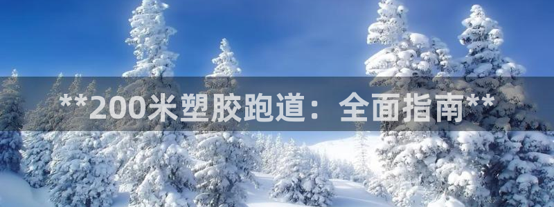 红足一1世比分网：**200米塑胶跑道：全面指南**