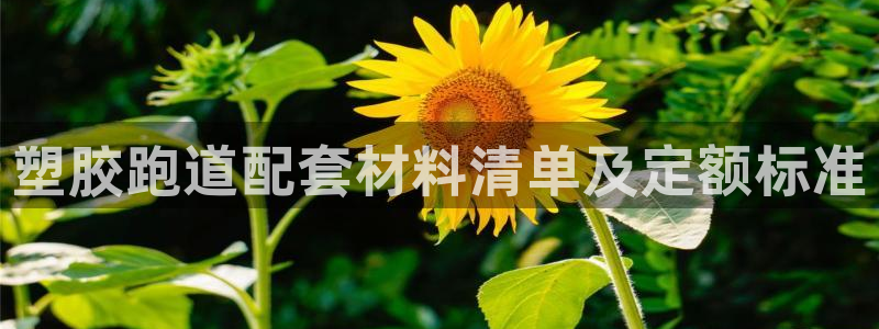 百度红足一1世：塑胶跑道配套材料清单及定额标准