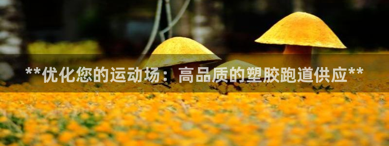 百度红足一1世