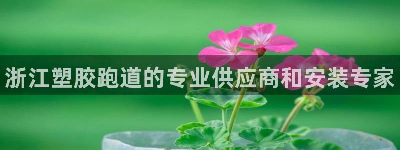 777814红·足一世比分篮球：浙江塑胶跑道的专业供应商和安装专家