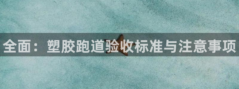 红足一1世平台：全面：塑胶跑道验收标准与注意事项