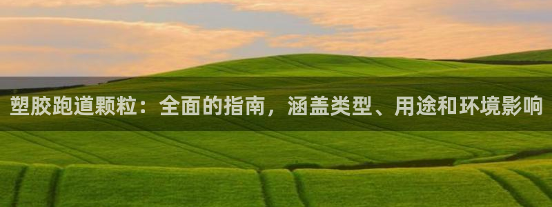 红足一1世比分网：塑胶跑道颗粒：全面的指南，涵盖类型、用途和环境影响