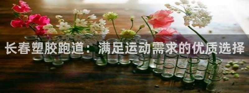百度红足一1是干什么的：长春塑胶跑道：满足运动需求的优质选择