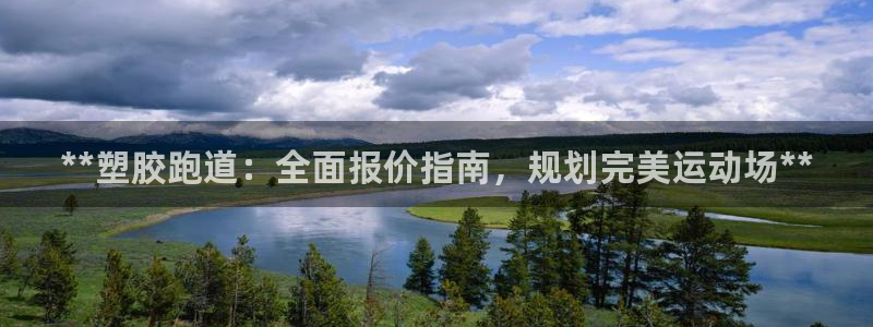 红足一1世比分球探：**塑胶跑道：全面报价指南，规划完美运动场**