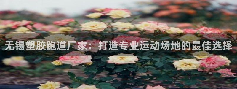 红足一一世足球网开奖记录：无锡塑胶跑道厂家：打造专业运动场地的最佳选择