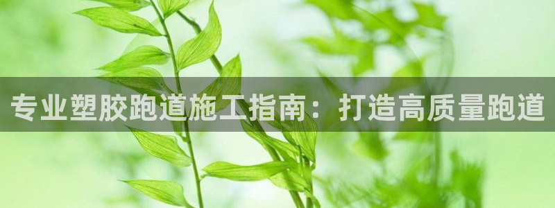 红足i世足球手机网：专业塑胶跑道施工指南：打造高质量跑道