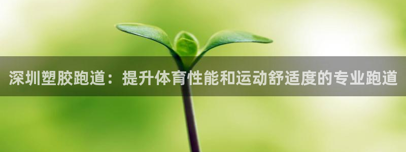 红足1世足球网址：深圳塑胶跑道：提升体育性能和运动舒适度的专业跑道