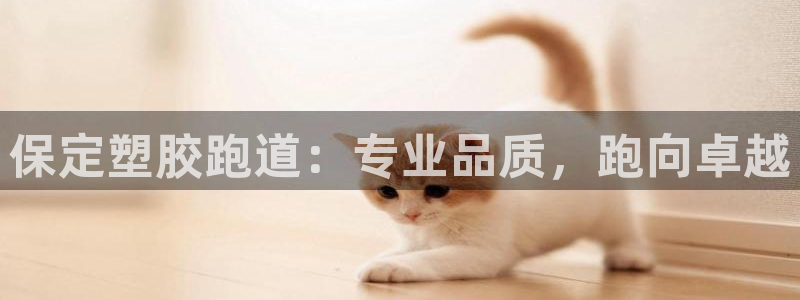66814红足：保定塑胶跑道：专业品质，跑向卓越