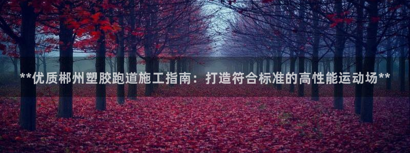 66814红足：**优质郴州塑胶跑道施工指南：打造符合标准的高性能运动场**