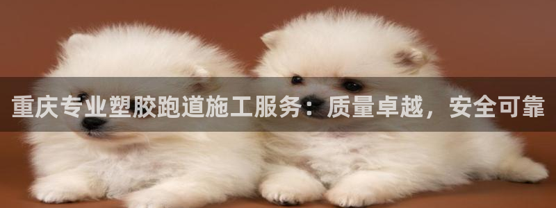 55814红足1世：重庆专业塑胶跑道施工服务：质量卓越，安全可靠
