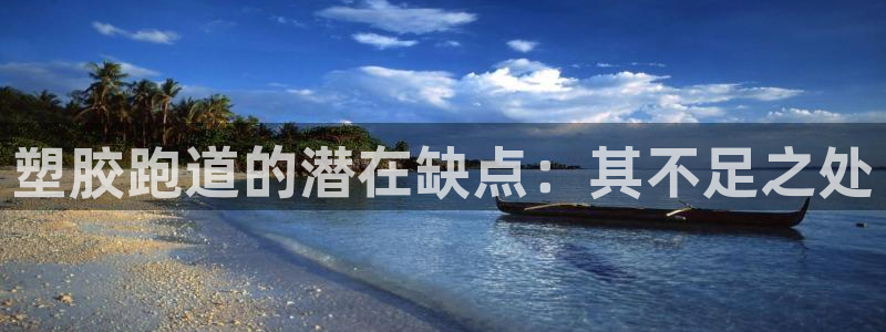 红足1世官网：塑胶跑道的潜在缺点：其不足之处