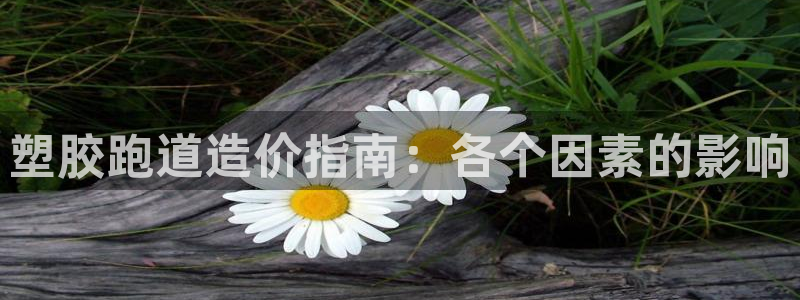 红足1世手机板：塑胶跑道造价指南：各个因素的影响