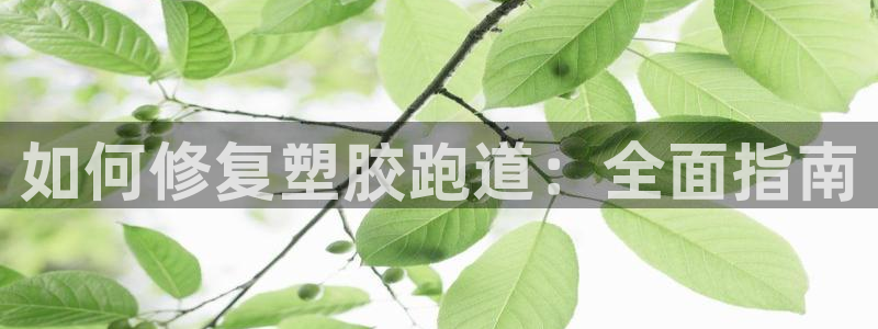 红足一1世皇冠登录：如何修复塑胶跑道：全面指南