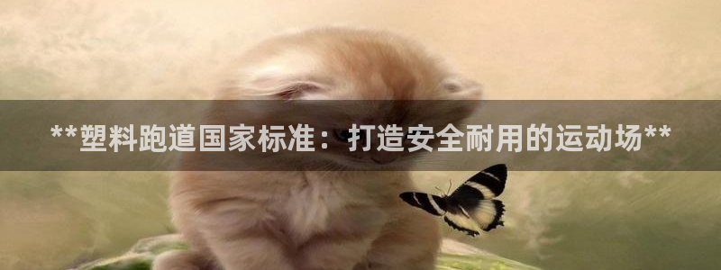 红足一1世手机皇冠：**塑料跑道国家标准：打造安全耐用的运动场**