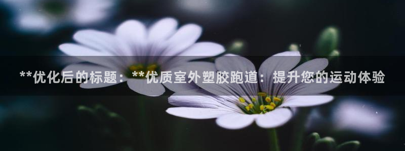 红足一1世官网比分：**优化后的标题：**优质室外塑胶跑道：提升您的运动体验