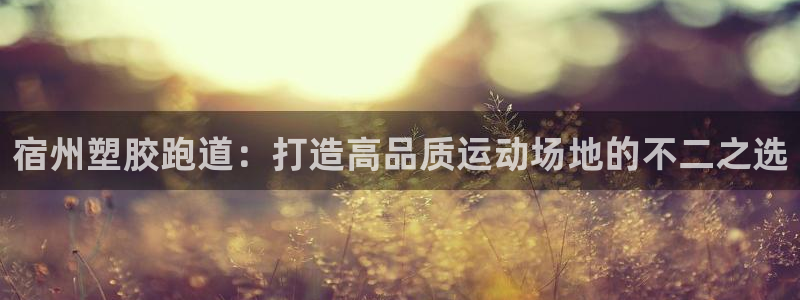红足一1世比分球探：宿州塑胶跑道：打造高品质运动场地的不二之选