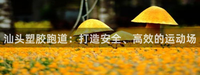 红足一一世：汕头塑胶跑道：打造安全、高效的运动场