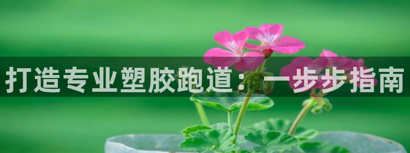 红足1世足球：打造专业塑胶跑道：一步步指南