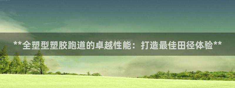 红足1世足球比分 localhost：**全塑型塑胶跑道的卓越性能：打造最佳田径体验**