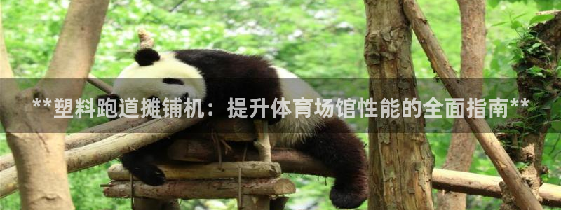 777814红·足一世比分：**塑料跑道摊铺机：提升体育场馆性能的全面指南**