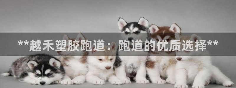 红足1世足球比分 localhost：**越禾塑胶跑道：跑道的优质选择**