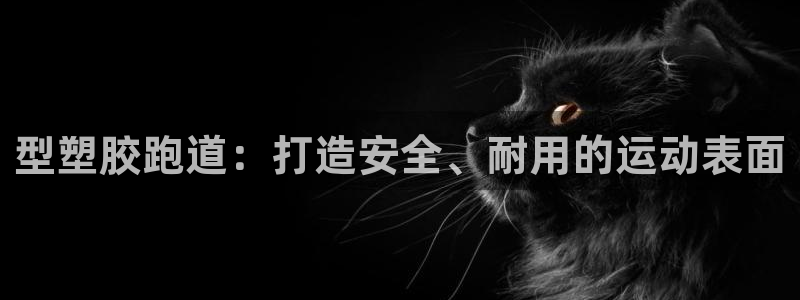 百度红足一1是什么样子的