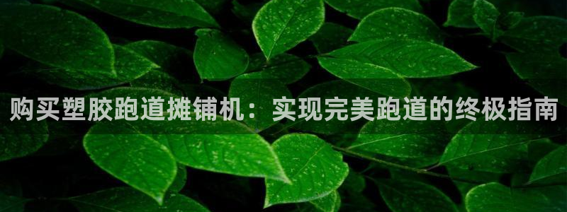 333814红足1世：购买塑胶跑道摊铺机：实现完美跑道的终极指南