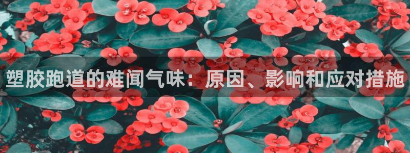 红足一1世666814最新结果：塑胶跑道的难闻气味：原因、影响和应对措施