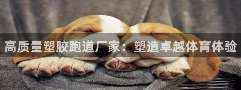 红姐现场直播开奖记录：高质量塑胶跑道厂家：塑造卓越体育体验