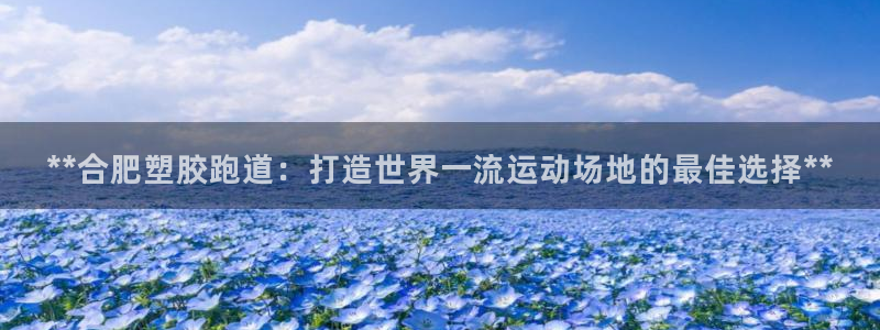 红足一丰：**合肥塑胶跑道：打造世界一流运动场地的最佳选择**