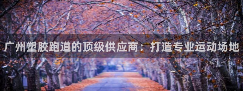 红足一丰：广州塑胶跑道的顶级供应商：打造专业运动场地