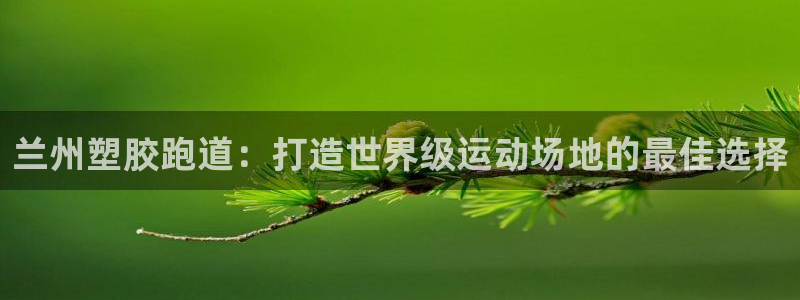 红足1世官网：兰州塑胶跑道：打造世界级运动场地的最佳选择
