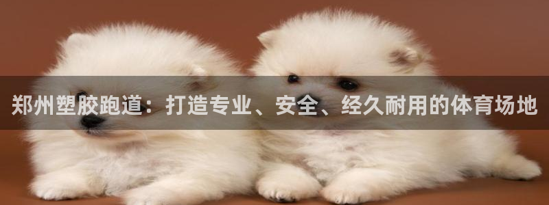 4633333开奖结果4176一点红