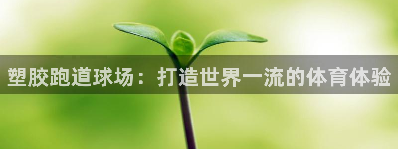 红足一1世66814：塑胶跑道球场：打造世界一流的体育体验