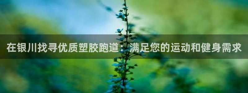 百度红足一1是什么样子的