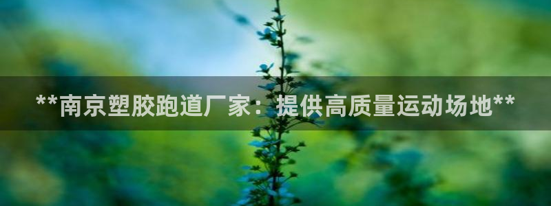 红足1一世开奖版：**南京塑胶跑道厂家：提供高质量运动场地**