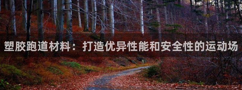 红足1一世红：塑胶跑道材料：打造优异性能和安全性的运动场
