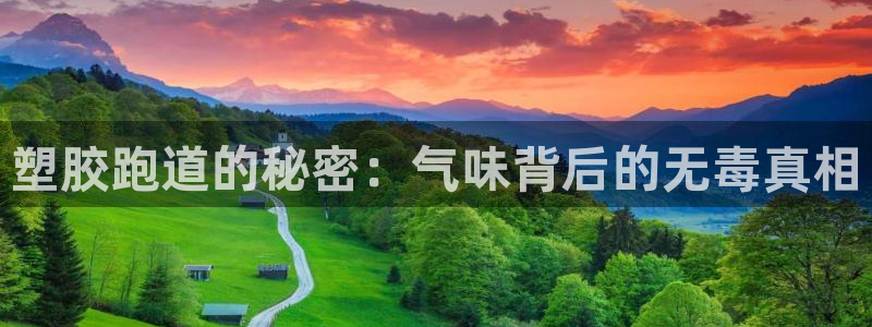 红足一1世666814足球比分网：塑胶跑道的秘密：气味背后的无毒真相