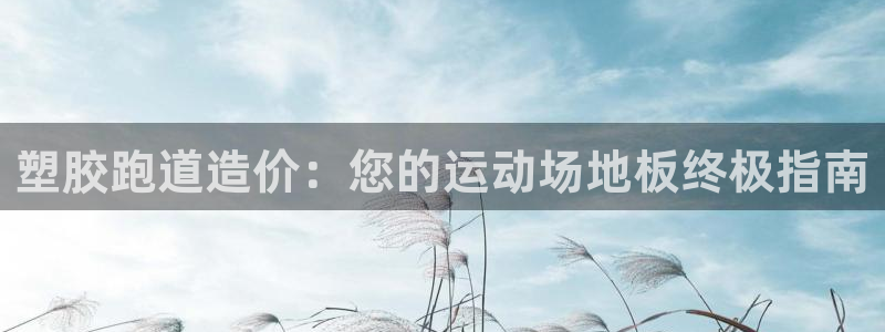 红足一1世平台：塑胶跑道造价：您的运动场地板终极指南