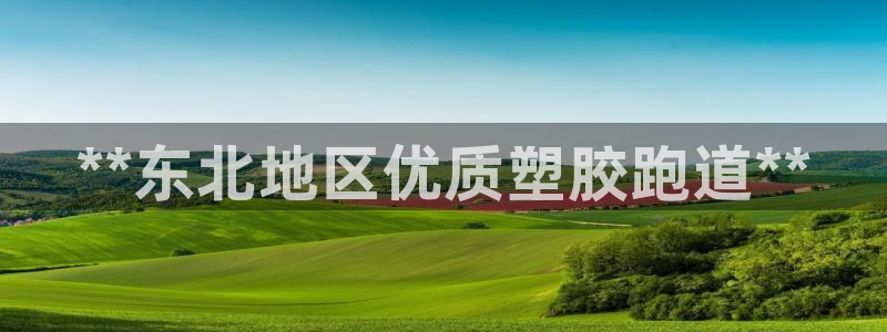 红足1世足球：**东北地区优质塑胶跑道**