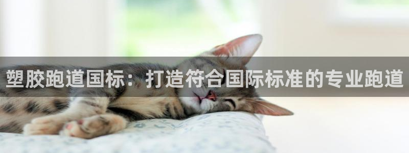 红足一1世开奖记录：塑胶跑道国标：打造符合国际标准的专业跑道
