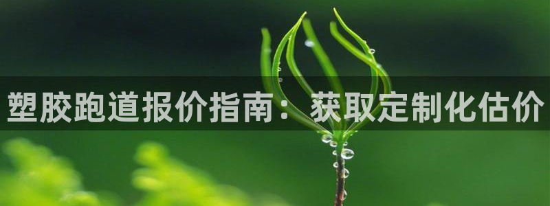 红足1世足球网址：塑胶跑道报价指南：获取定制化估价