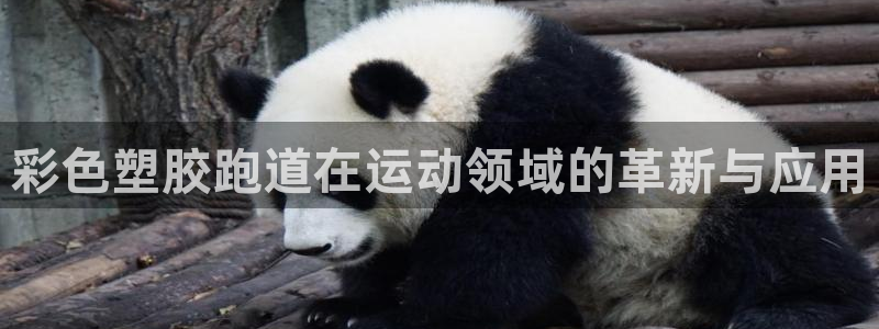 百度红足一1是干什么的：彩色塑胶跑道在运动领域的革新与应用